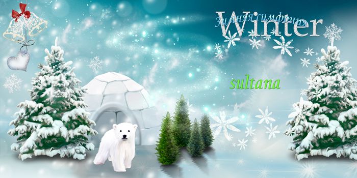 Winterbooktitul.jpg