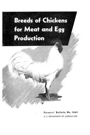 Breeds of Chickens for Meat and Egg Production