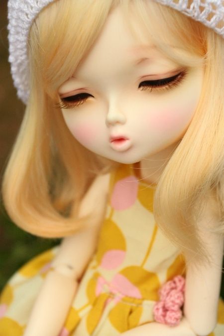 photo IMG_1737_zps9b0203d1.jpg