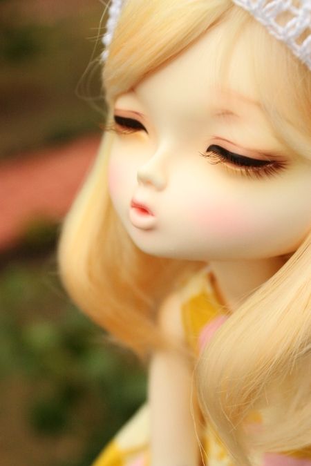 photo IMG_1740_zps7a63464d.jpg