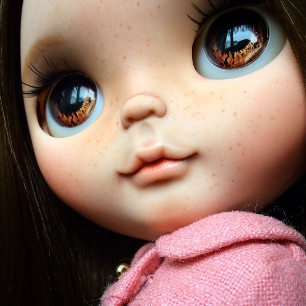 photo IMG_6571_zps3hdfgkni.jpg