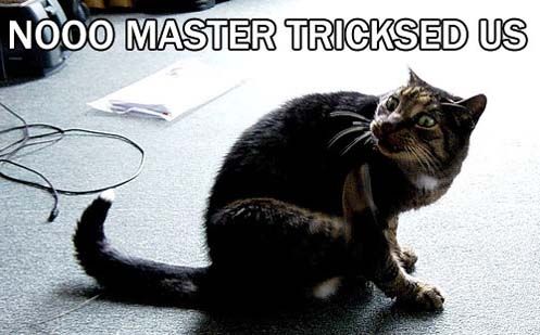LOTR-Nooo-Master-Tricksed-Us.jpg