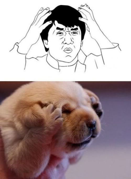dogs-match-rage-face-memes-6-2.jpg