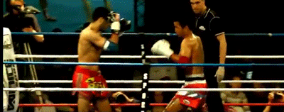 2415gotcha_zps1dc70cd6.gif