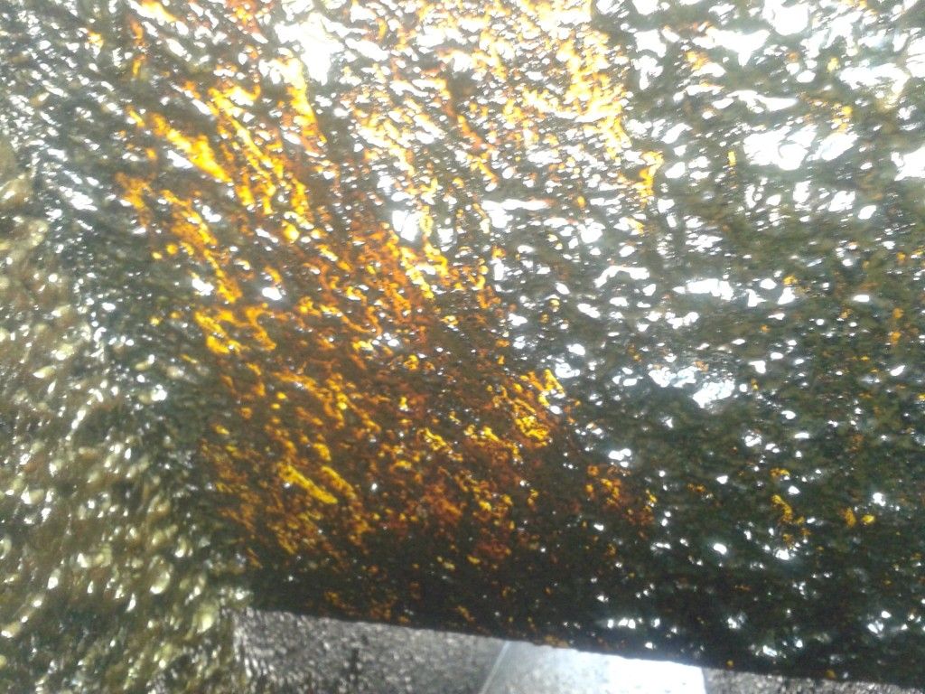 WP_001090.jpg