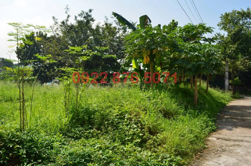 multinational village