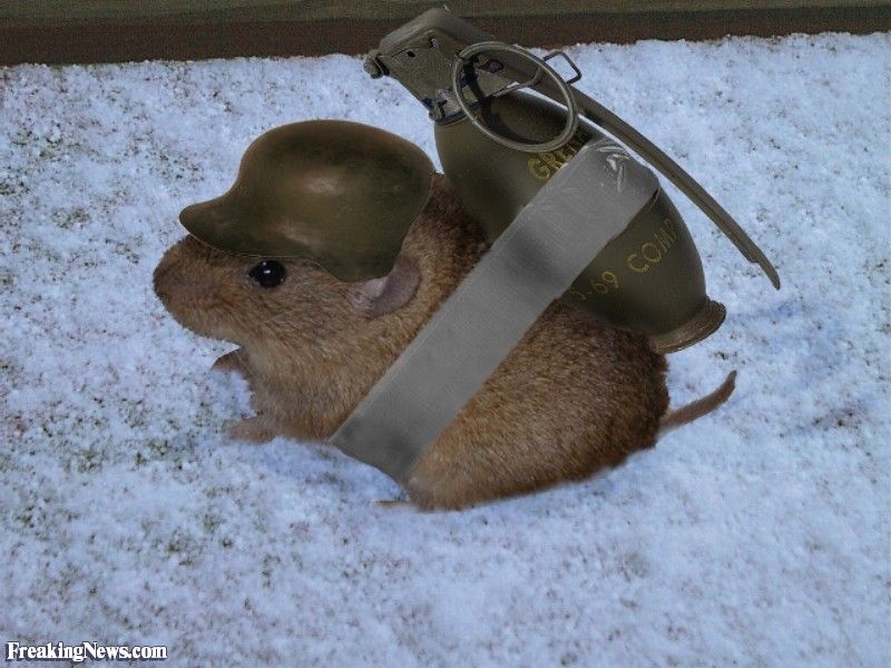 Lemming-with-a-Grenade--55505_zps95addhux.jpg