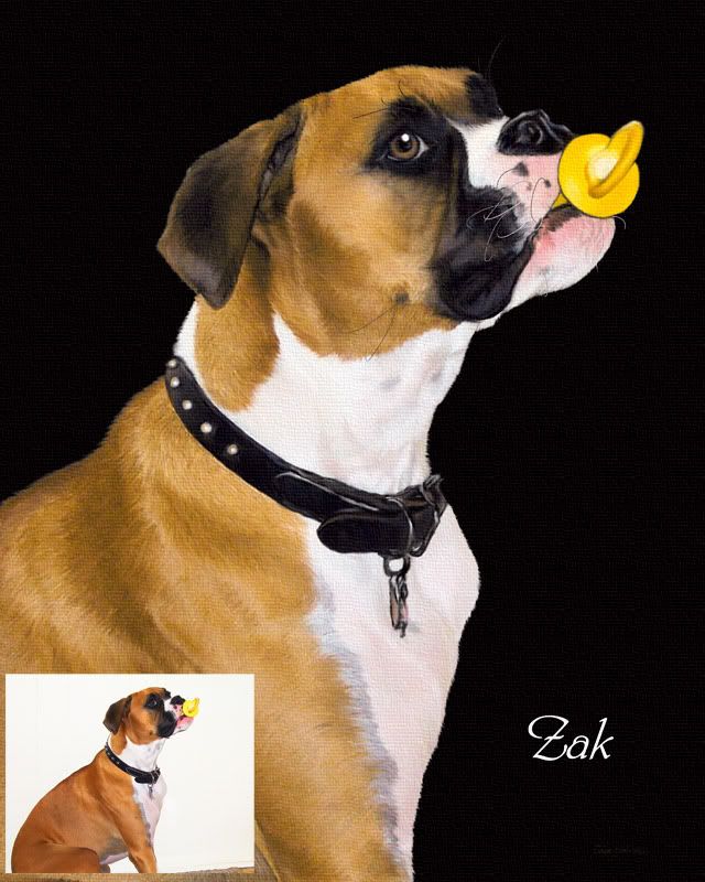 IMAGE: http://i1175.photobucket.com/albums/r634/Dougs-Digital-Paintings/ZakPacifierCompare800px.jpg