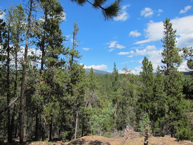 Tungsten Trail | Nederland, Colorado