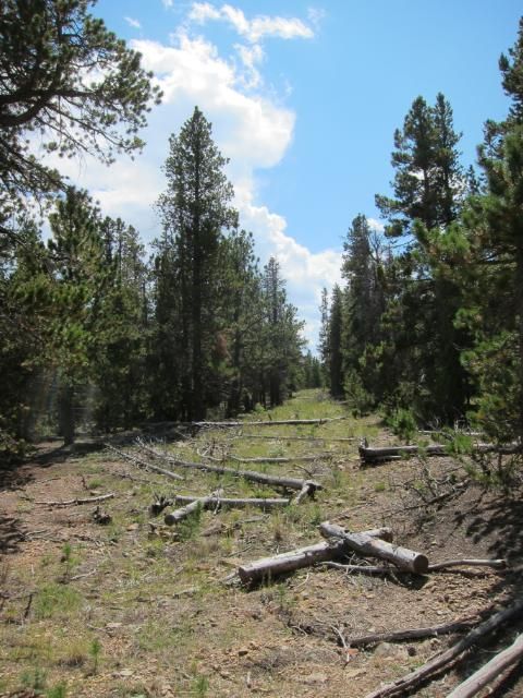 Tungsten Trail | Nederland, Colorado