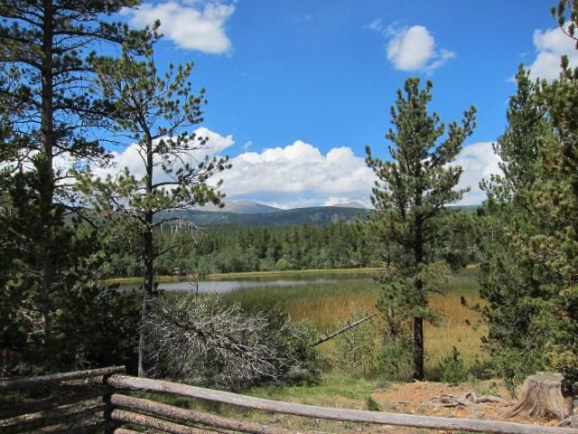 Tungsten Trail | Nederland, Colorado