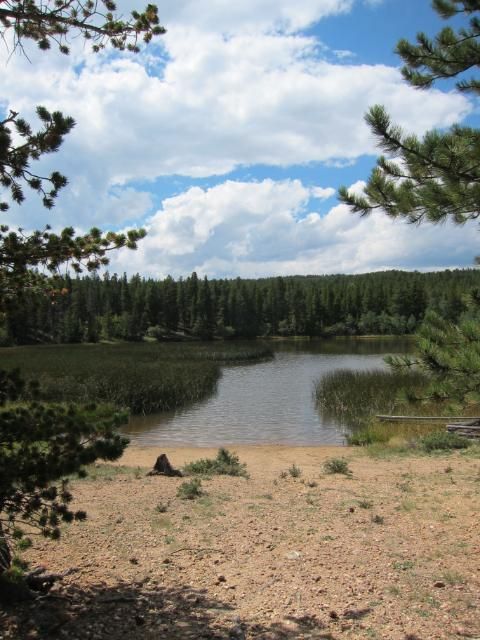 Tungsten Trail | Nederland, Colorado