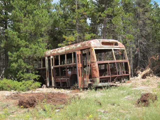 Old Bus | Nederland, Colorado