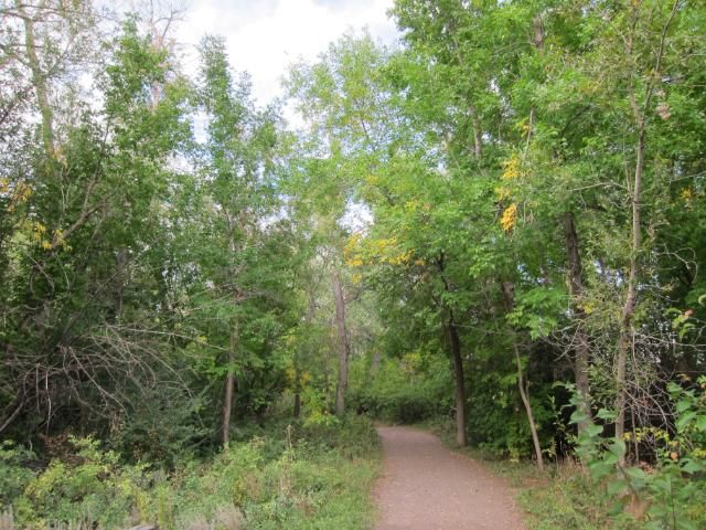 Walking Trail | Boulder, Colorado