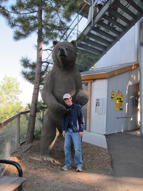 Bear Statue at Cheyenne Mountain Zoo | Colorado Springs, Colorado