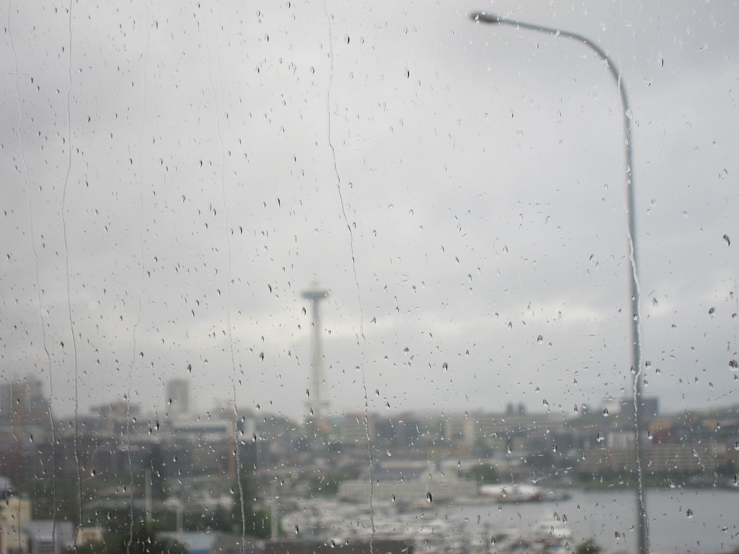 Rainy Seattle Skyline