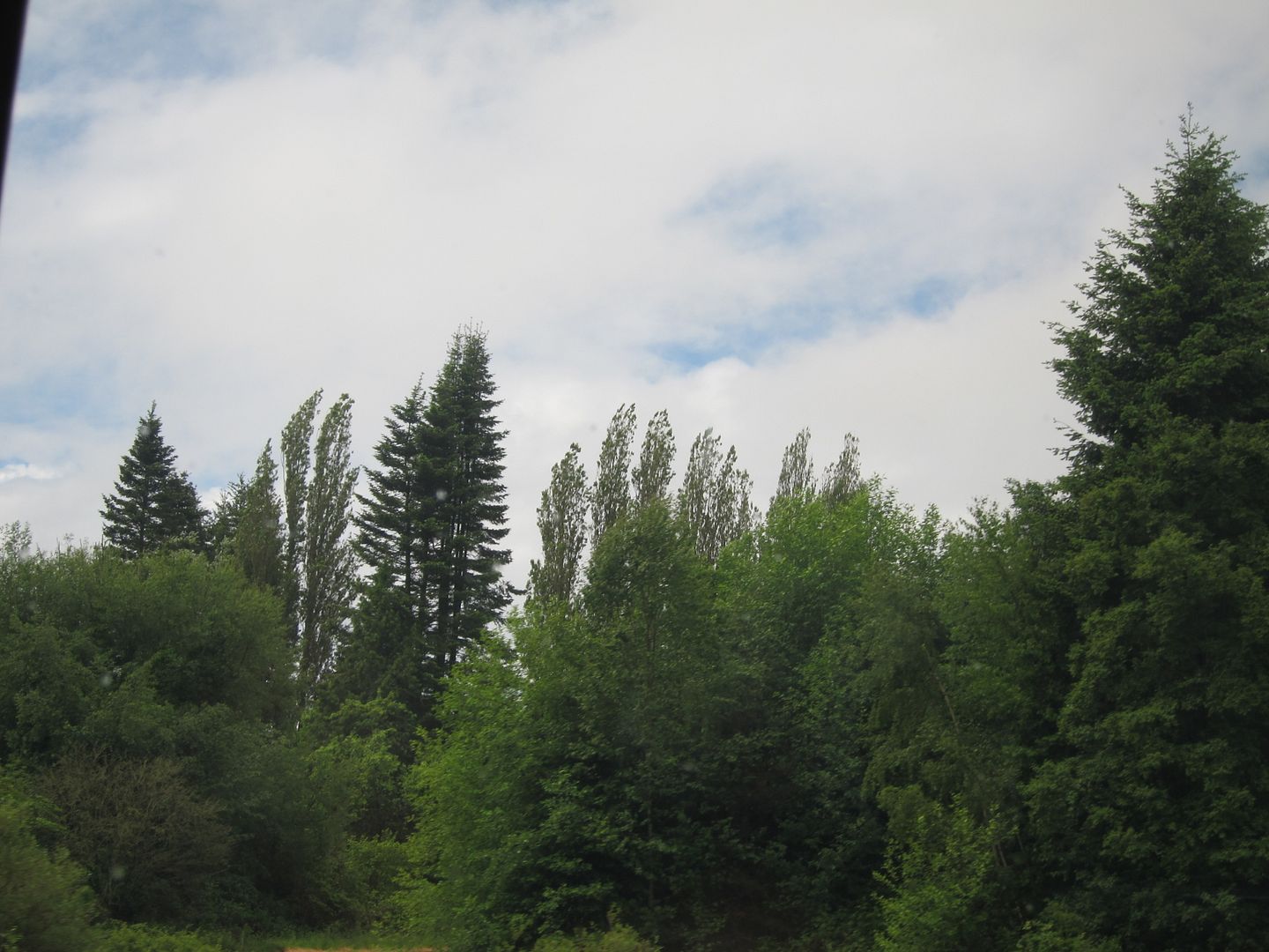 Washington Countryside