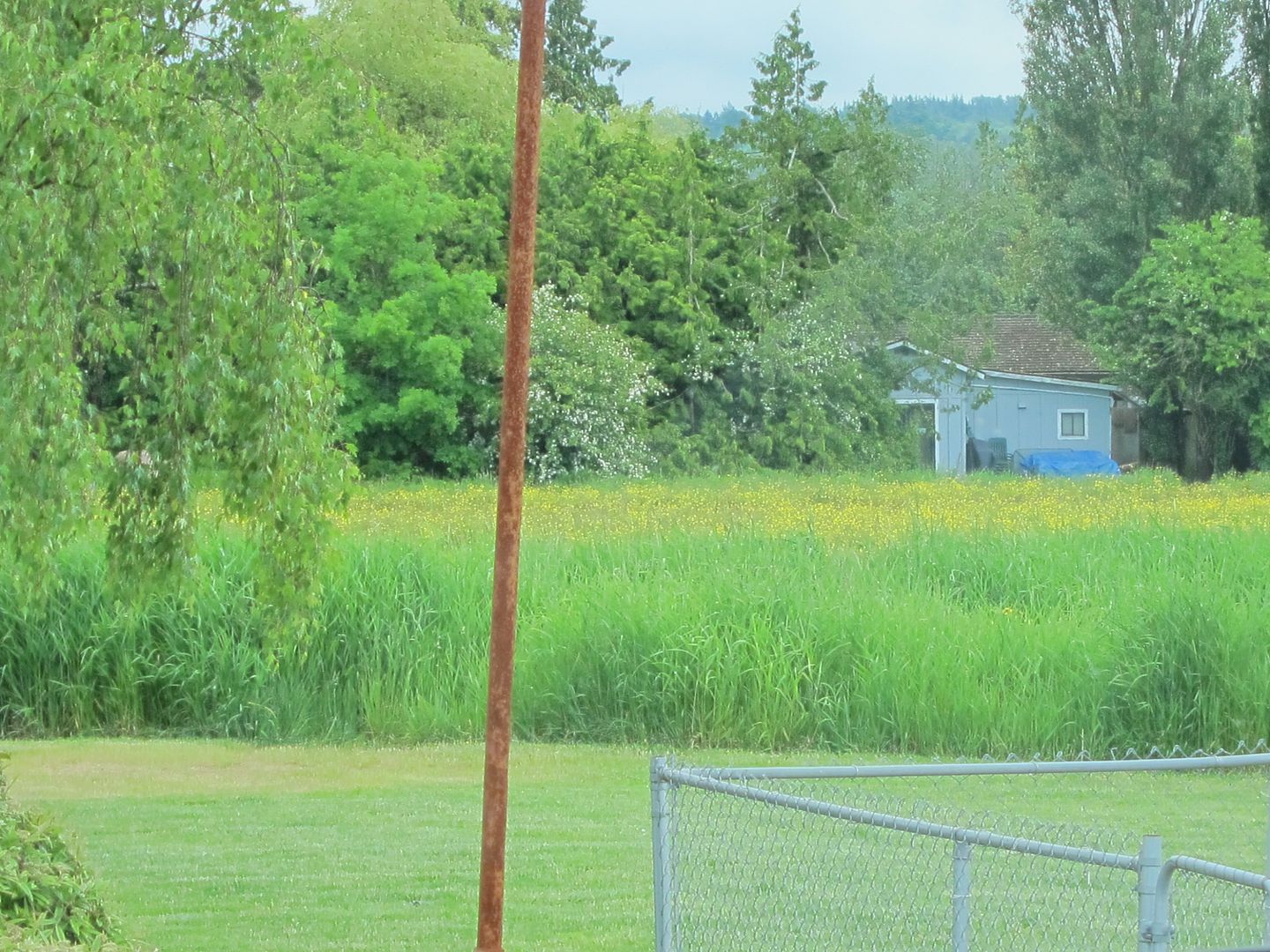 British Columbia Countryside