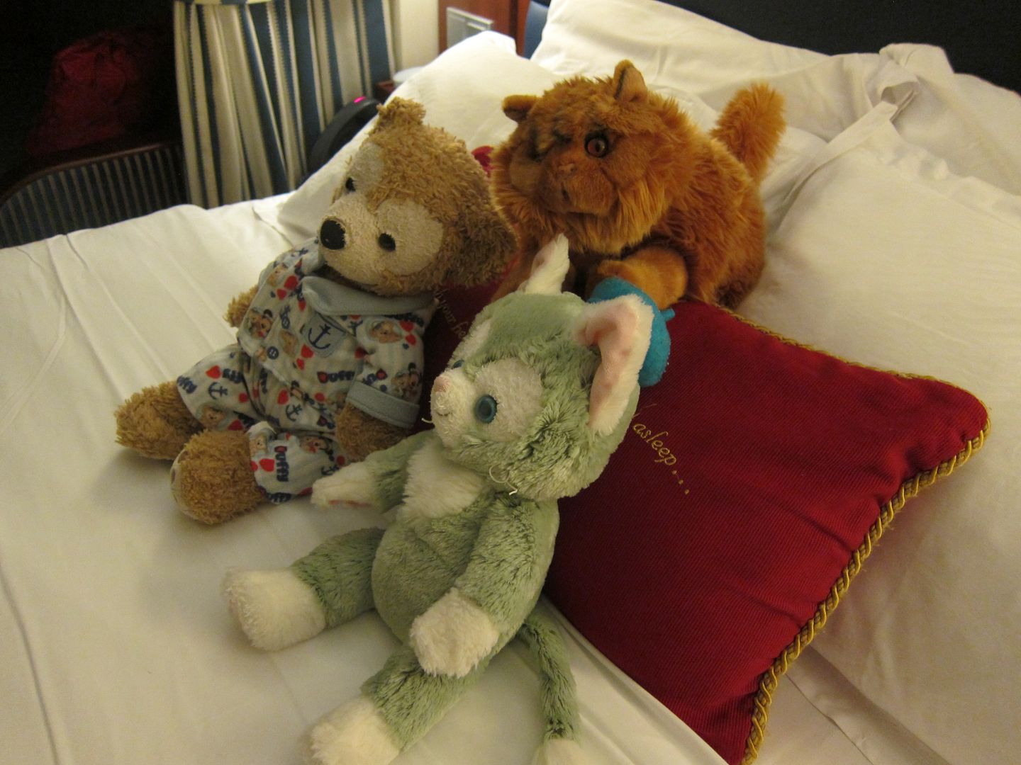 Duffy, Gelatoni, and Crookshanks