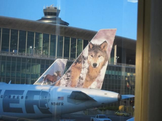 Lobo the Wolf | Frontier Airlines Plane