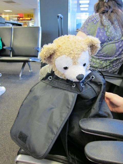 Duffy the Disney Bear in a Backpack