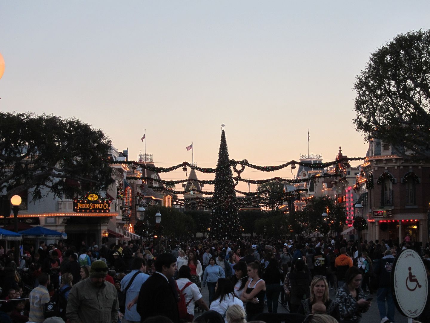 Main Street, U.S.A Christmas Tree | Disneyland
