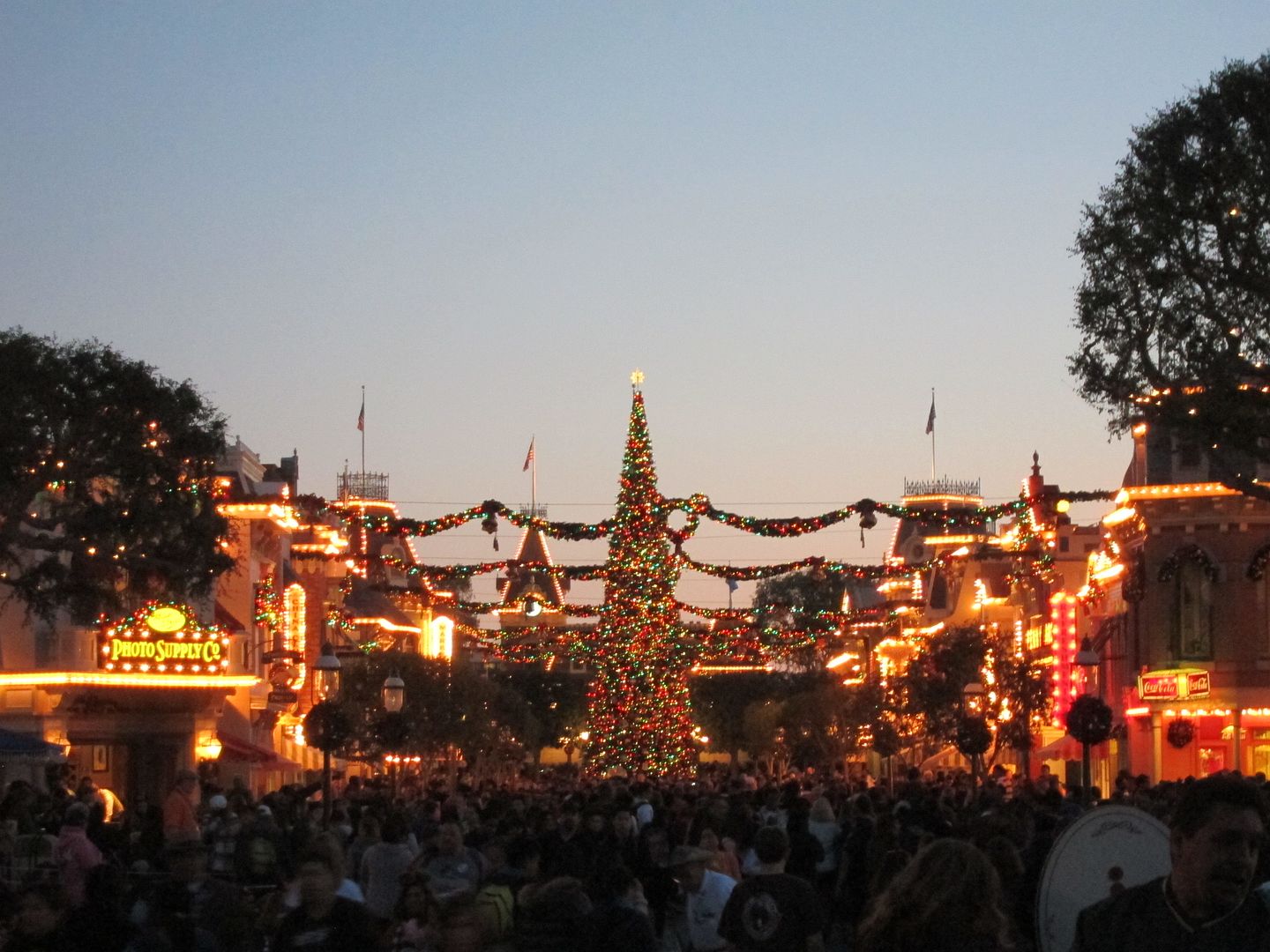 Main Street, U.S.A. Christmas Lights and Christmas Tree | Disneyland