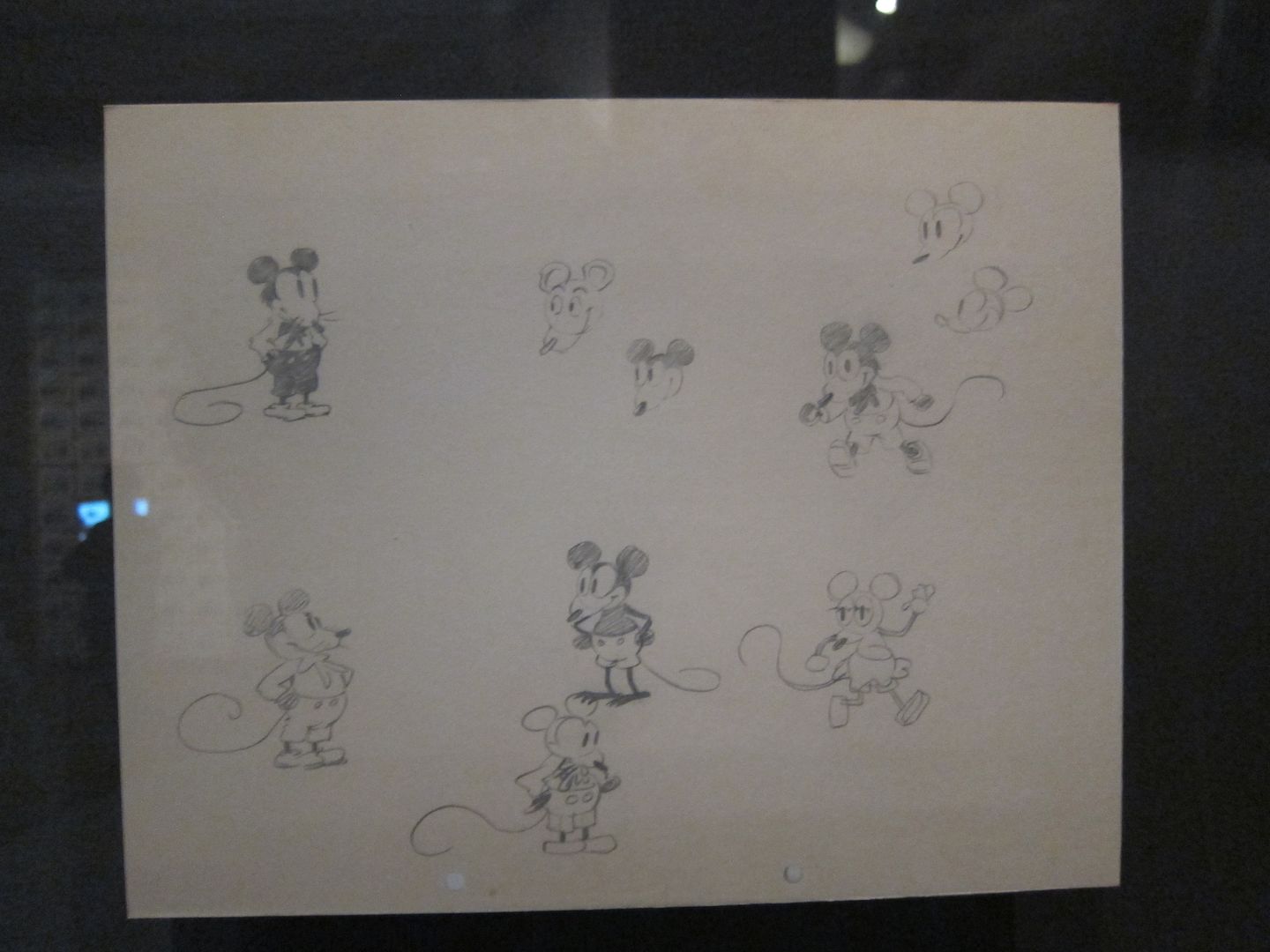First Sketches of Mickey Mouse | Walt Disney Family Museum
