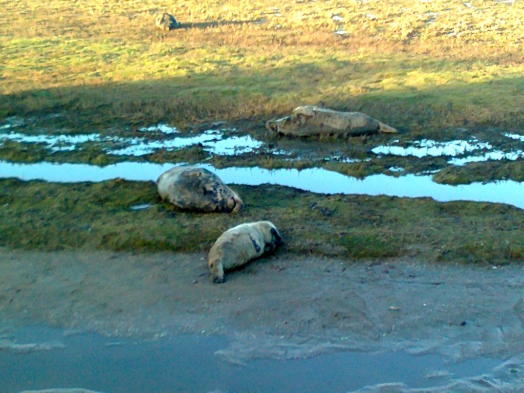 Photo0005_zpsff0fd752.jpg
