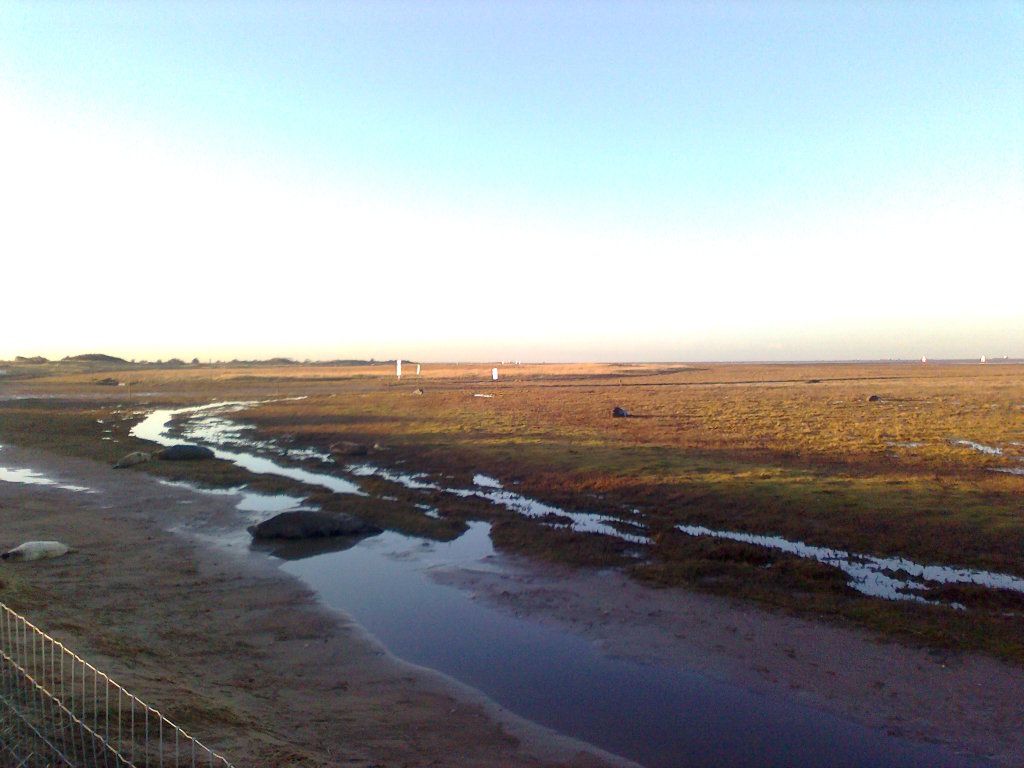 Photo0010_zps00f139ed.jpg