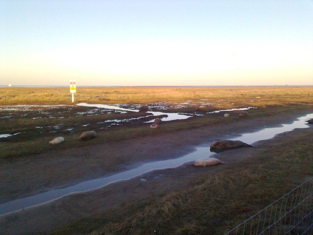 Photo0017_zpsb81d4c10.jpg