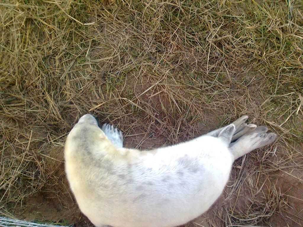 Photo0027_zps012fc017.jpg
