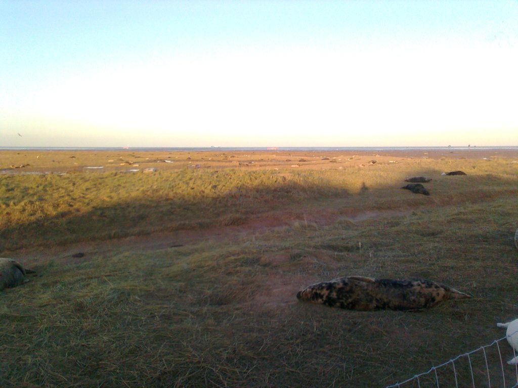 Photo0031_zps010b638b.jpg