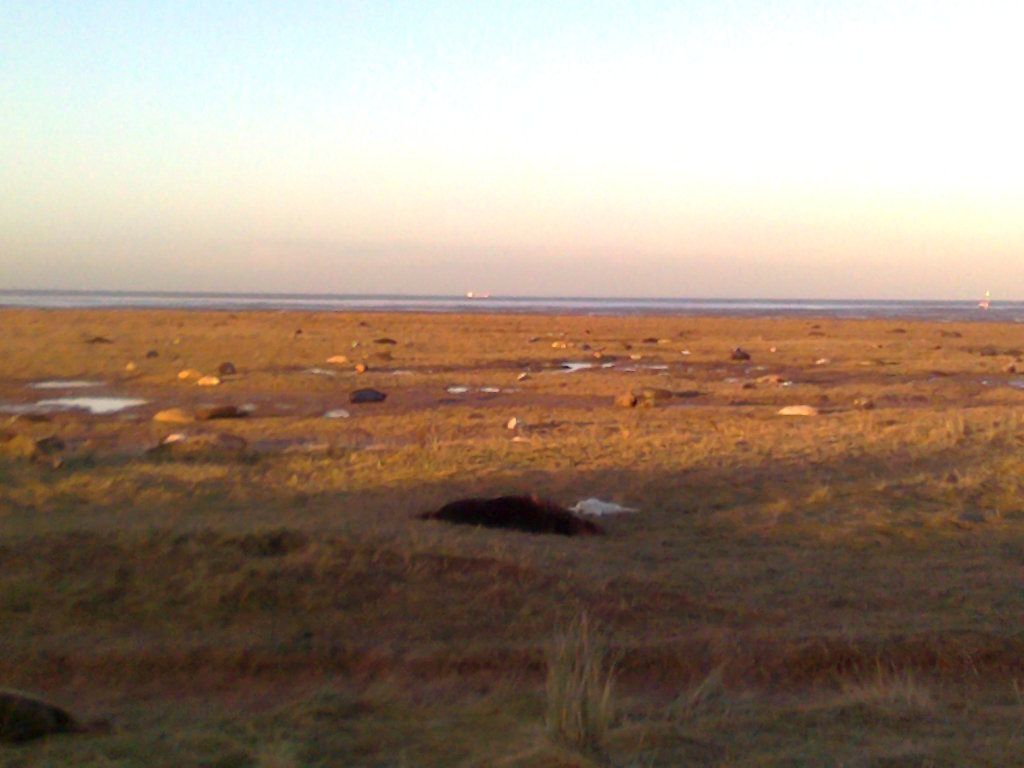 Photo0043_zpse503fb7f.jpg