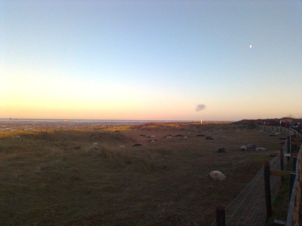 Photo0061_zpsc85c5086.jpg