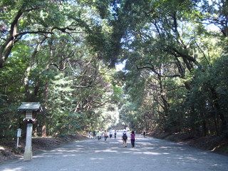17 días de ruta por Japón (Septiembre 2013) - Blogs de Japon - Tokyo: Harajuku (Templo Meiji), calle Takeshita, Omotesando, Shibuya, Shinjuku (2)