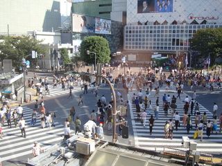 17 días de ruta por Japón (Septiembre 2013) - Blogs de Japon - Tokyo: Harajuku (Templo Meiji), calle Takeshita, Omotesando, Shibuya, Shinjuku (14)