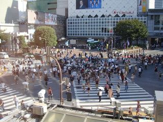 17 días de ruta por Japón (Septiembre 2013) - Blogs de Japon - Tokyo: Harajuku (Templo Meiji), calle Takeshita, Omotesando, Shibuya, Shinjuku (15)