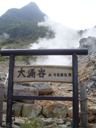 17 días de ruta por Japón (Septiembre 2013) - Blogs de Japon - Tokyo: Excursión a Hakone (ida vuelta) (5)