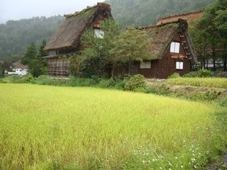 17 días de ruta por Japón (Septiembre 2013) - Blogs de Japon - Takayama-Shirakawago-Kanazawa (6)