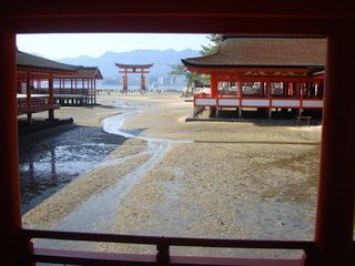 17 días de ruta por Japón (Septiembre 2013) - Blogs de Japon - Kyoto: Excursión a Hiroshima Miyajima (ida vuelta) (14)