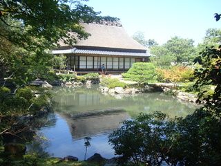 17 días de ruta por Japón (Septiembre 2013) - Blogs de Japon - Kyoto: Nara y Osaka (4)