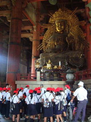 17 días de ruta por Japón (Septiembre 2013) - Blogs de Japon - Kyoto: Nara y Osaka (8)