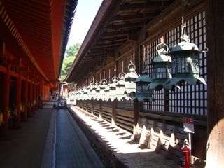17 días de ruta por Japón (Septiembre 2013) - Blogs de Japon - Kyoto: Nara y Osaka (13)