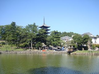 17 días de ruta por Japón (Septiembre 2013) - Blogs de Japon - Kyoto: Nara y Osaka (15)