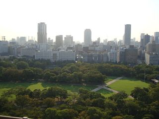 17 días de ruta por Japón (Septiembre 2013) - Blogs de Japon - Kyoto: Nara y Osaka (18)