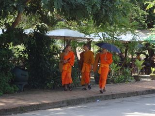 LUANG PRABANG (visita ciudad + cascadas Tad Sae) - 18 días por Camboya y Laos (Septiembre 2012) (14)