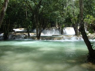 LUANG PRABANG (visita ciudad + cascadas Tad Sae) - 18 días por Camboya y Laos (Septiembre 2012) (18)