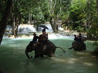 LUANG PRABANG (visita ciudad + cascadas Tad Sae) - 18 días por Camboya y Laos (Septiembre 2012) (20)