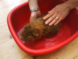 28thaugust2010-1.jpg